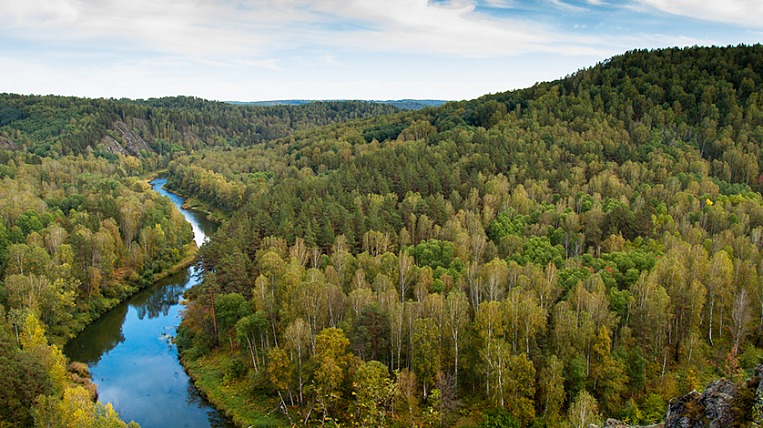 Стратегия преобразования лесной промышленности в биолесную индустрию