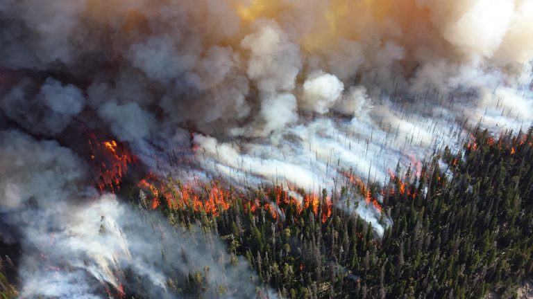 Области распространения лесных пожаров в 2018 году в России. Причины пожаров в лесах