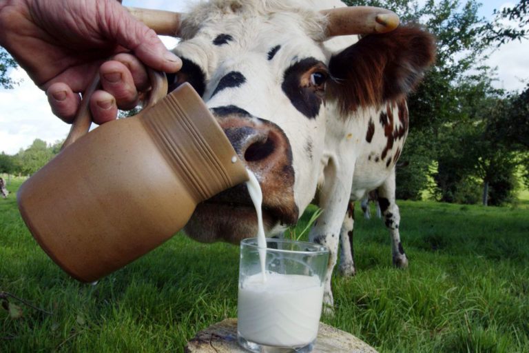 Запрет на ввоз молока из Белоруссии вступил в силу
