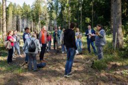 Лесовосстановительные работы в заповеднике «Ясная Поляна» под началом Essity