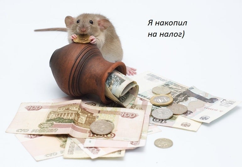 налог на домашних животных 1 602 налог +на домашних животных 2019 721 налог +на домашних животных +в россии 687 налог +на домашних животных в России 2019