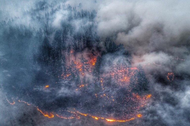 Причина лесных пожаров в Сибири — неосторожное обращение с огнем!