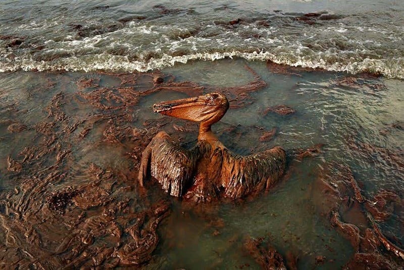 Взрыв нефтяной платформы Deepwater Horizon в Мексиканском заливе