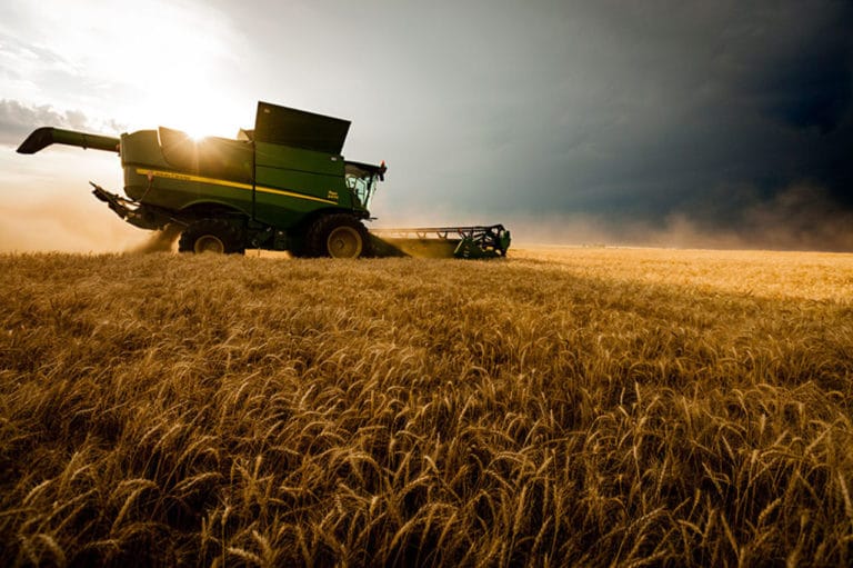 Перспективы мирового агропродовольственного сектора — анализ рынков