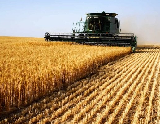 Импорт сельскохозяйственной продукции России сократился втрое